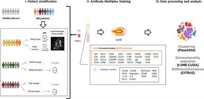 Specific myeloid signatures in peripheral blood differentiate active and rare clinical phenotypes of multiple sclerosis